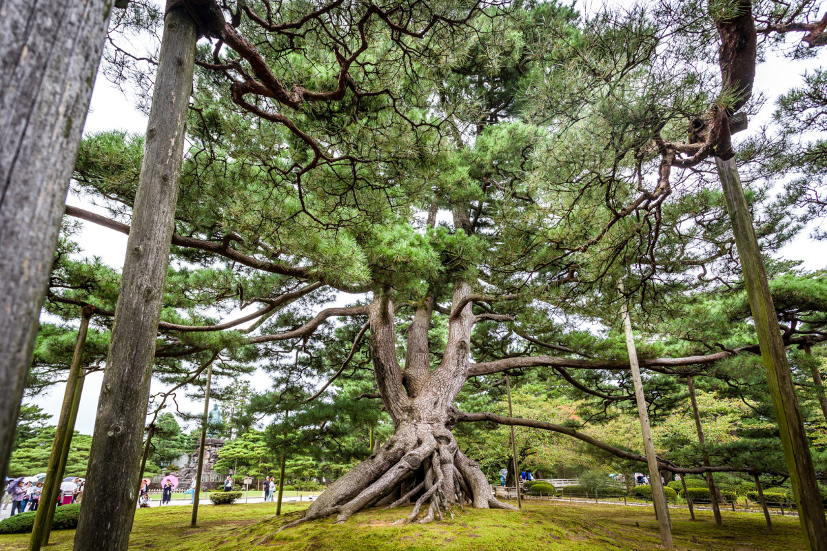 Kanazawa-Japan-13