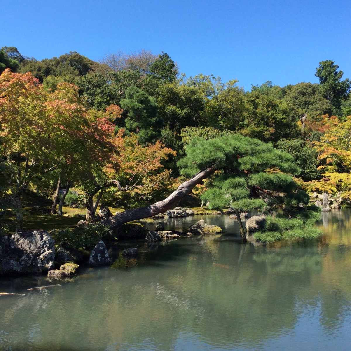 Kyoto-Japan-150