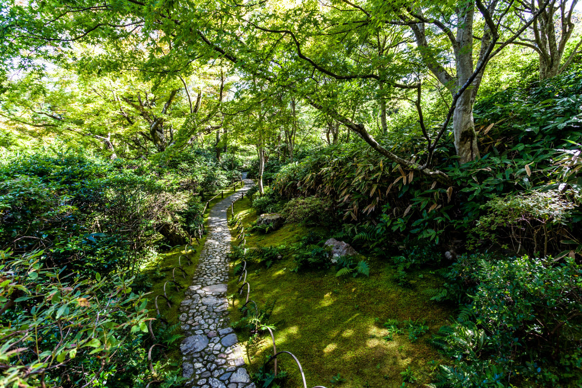 Kyoto-Japan-29