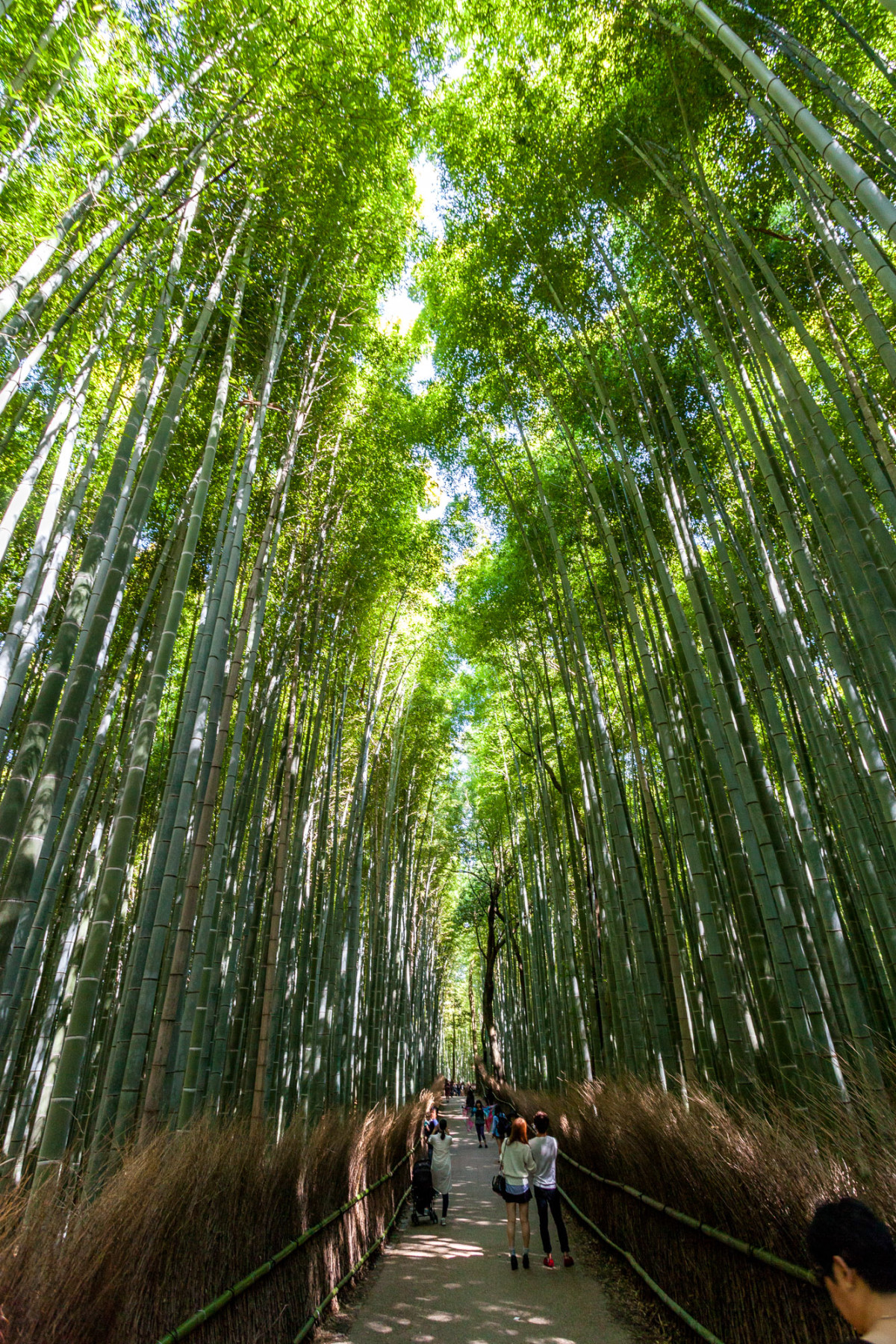 Kyoto-Japan-31