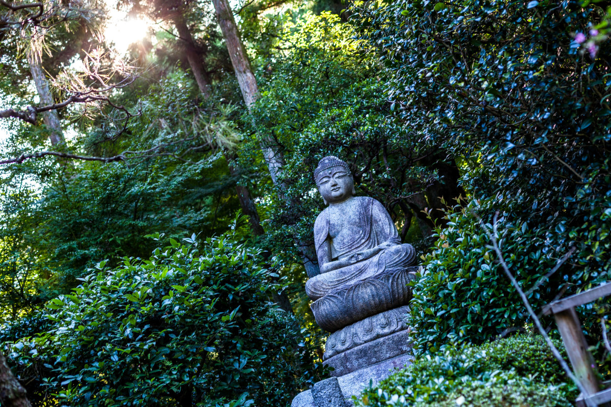 Kyoto-Japan-38