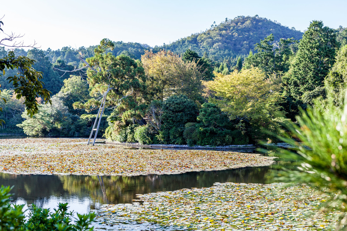 Kyoto-Japan-41