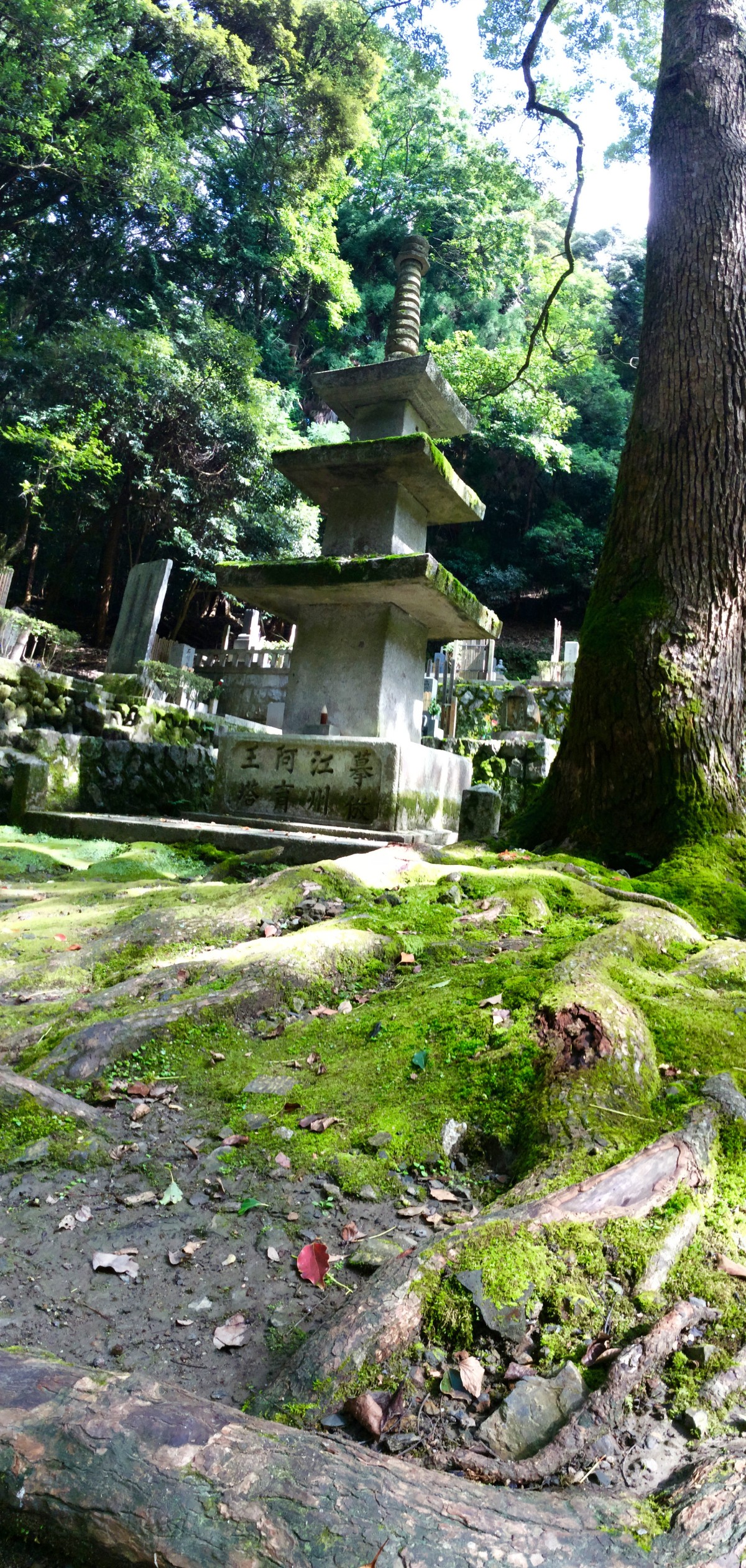 Kyoto-Japan-76
