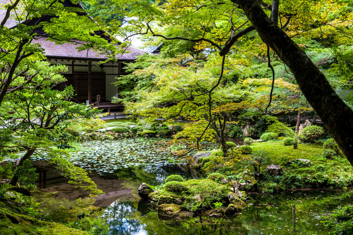 Kyoto-Japan-8