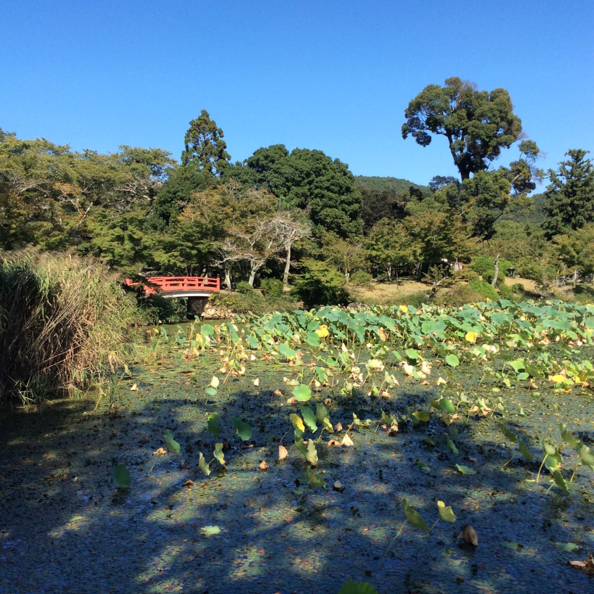 Kyoto-Japan-89