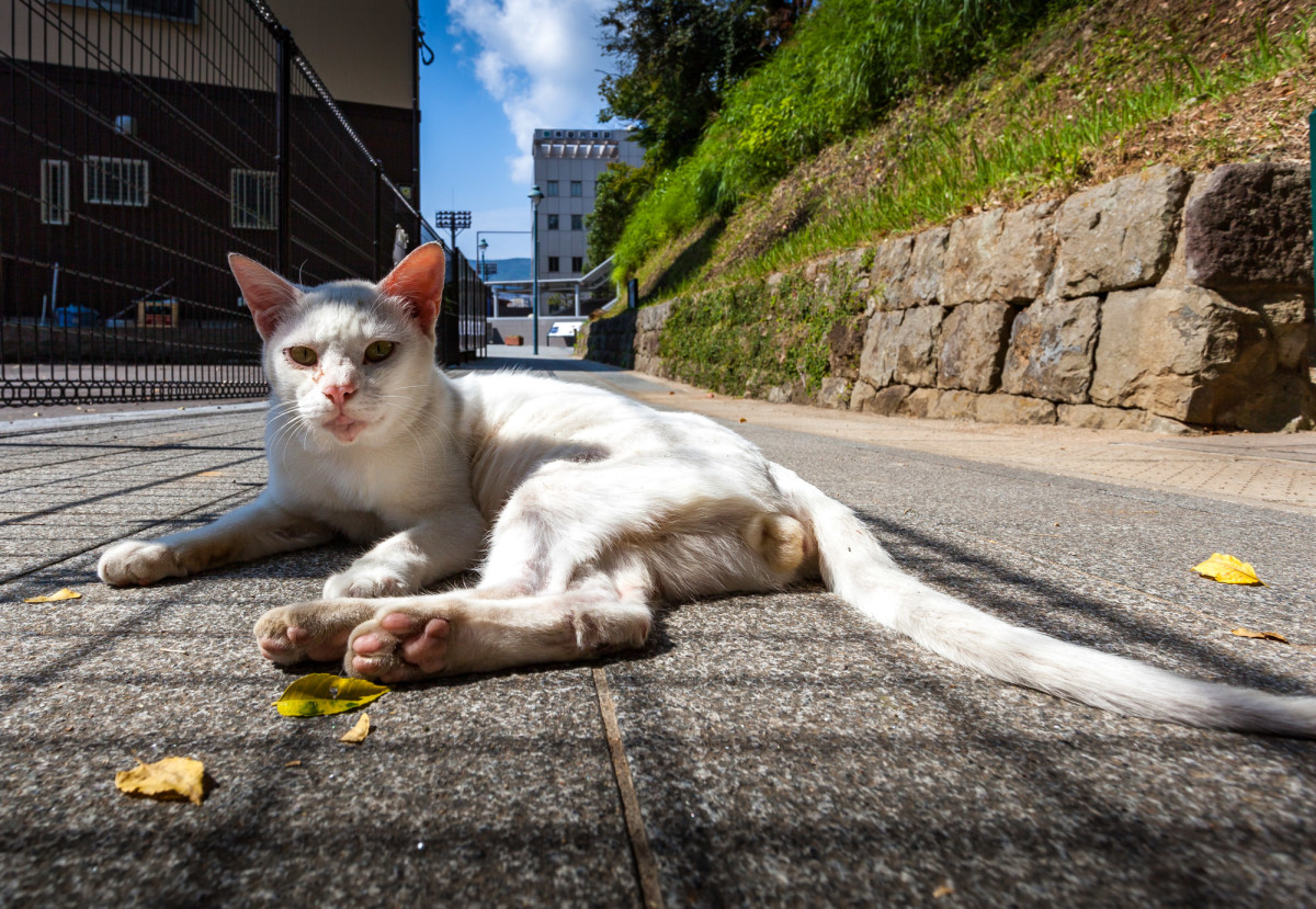 Nagasaki-Japan-7