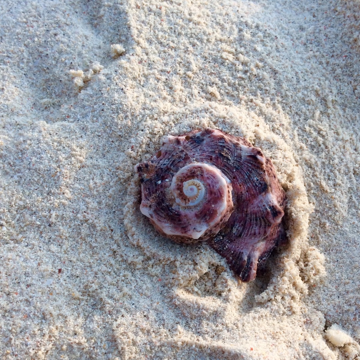 Alona-Beach-Bohol-Philippinen-11