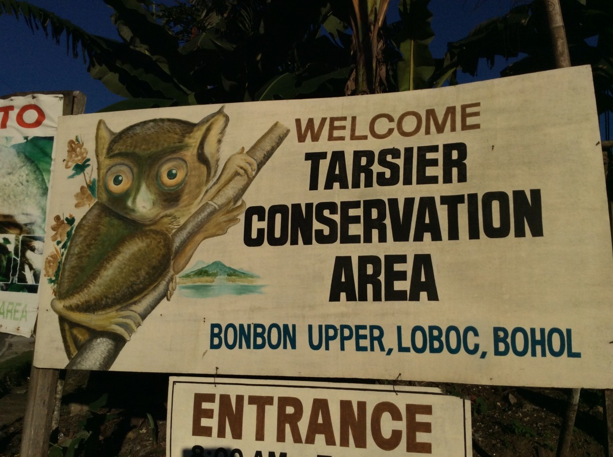 Loboc-River-Bohol-Philippinen-19