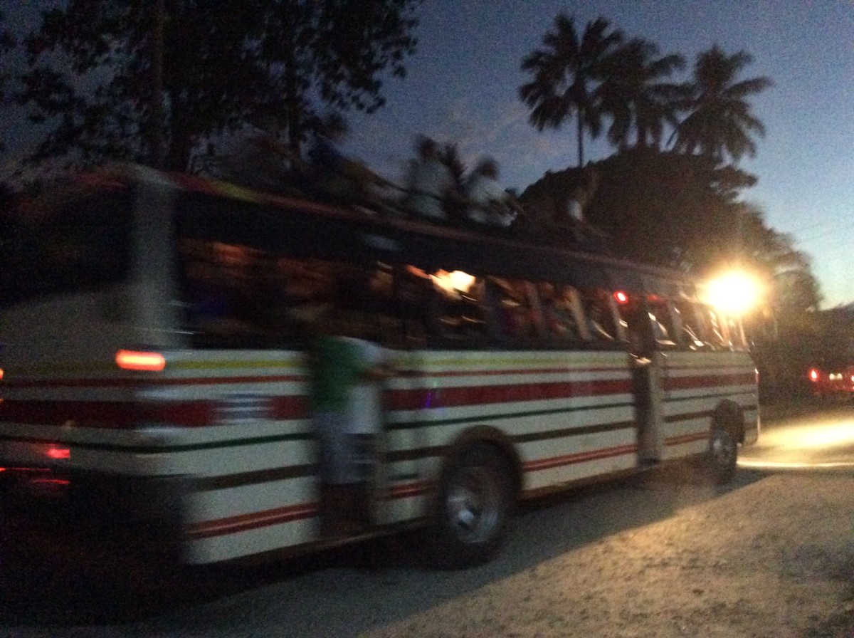 Loboc-River-Bohol-Philippinen-20