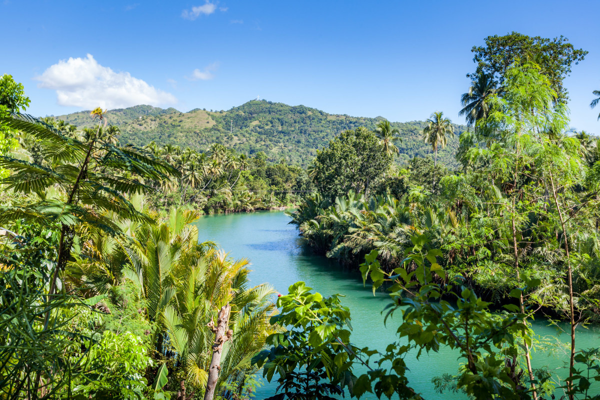 Loboc-River-Bohol-Philippinen-4