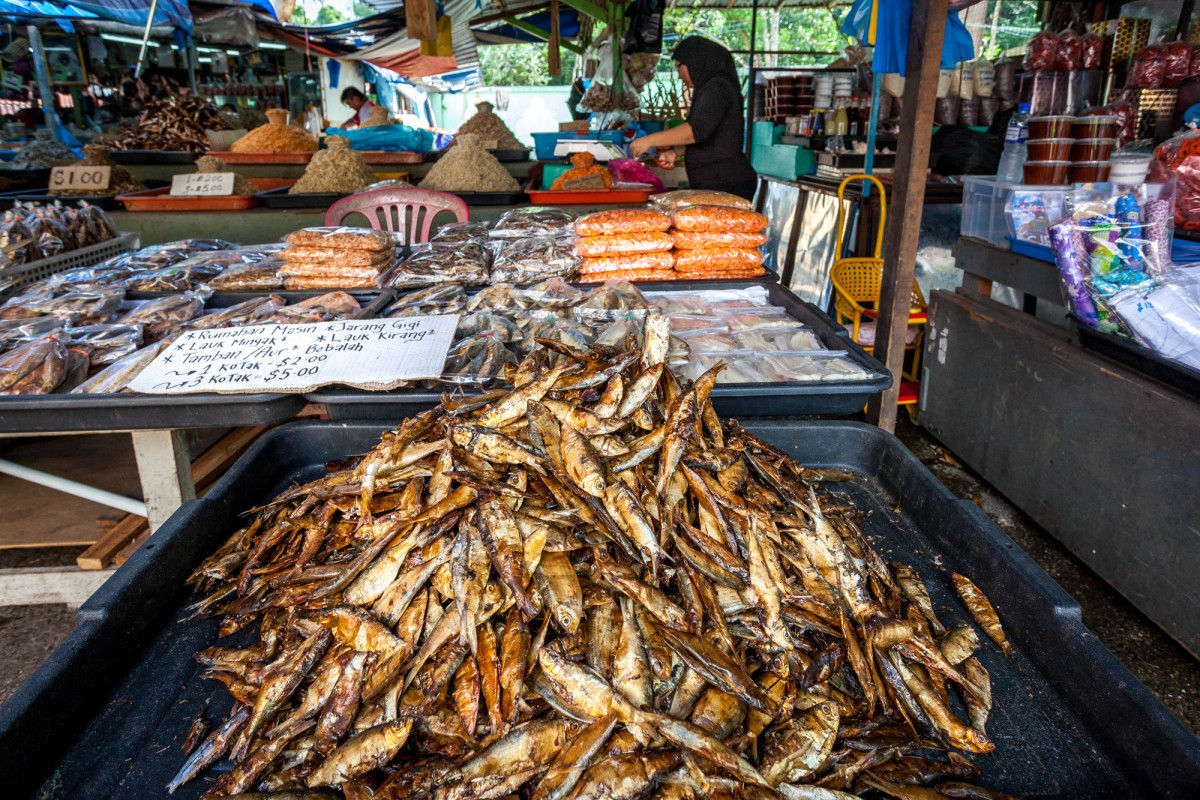 Brunei-Bandar-Seri-Begawan-20