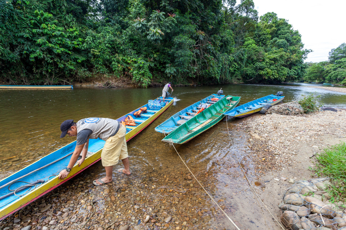 Gunung-Mulu-National-Park-Borneo-13