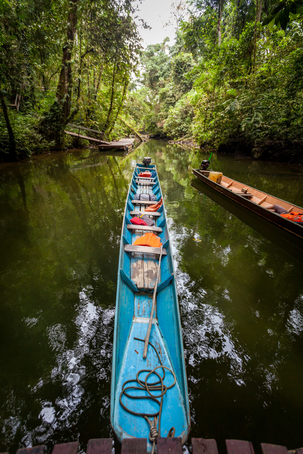 Gunung-Mulu-National-Park-Borneo-15