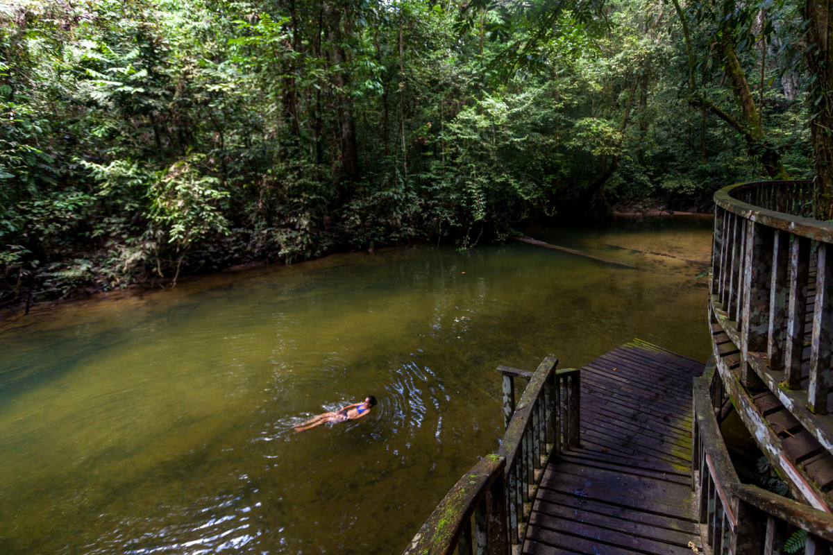 Gunung-Mulu-National-Park-Borneo-19