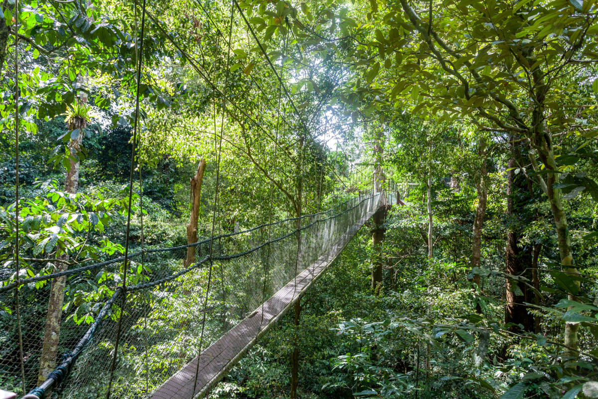 Gunung-Mulu-National-Park-Borneo-20