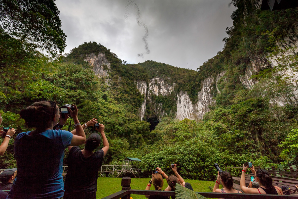 Gunung-Mulu-National-Park-Borneo-8