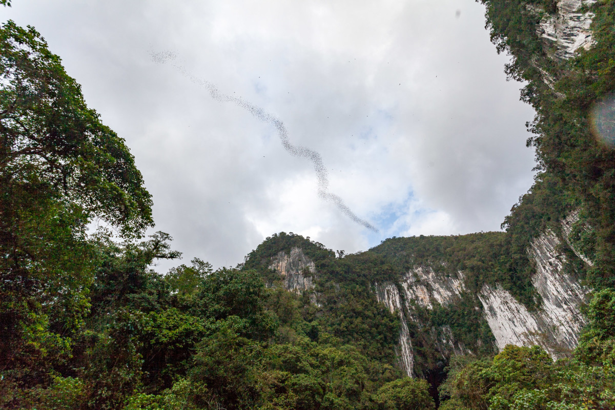 Gunung-Mulu-National-Park-Borneo-9