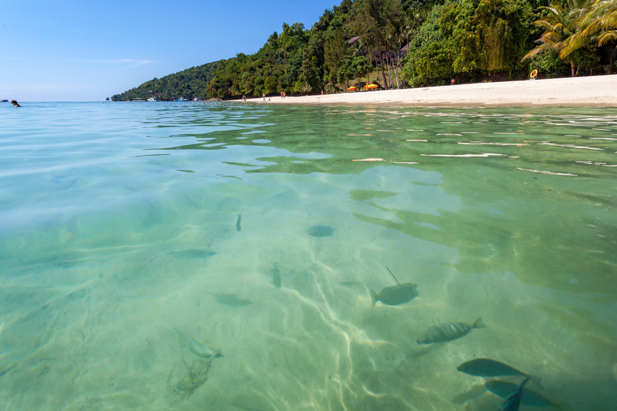 Kota-Kinabalu-Borneo-6