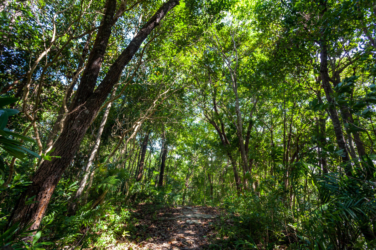 Kota-Kinabalu-Borneo-9