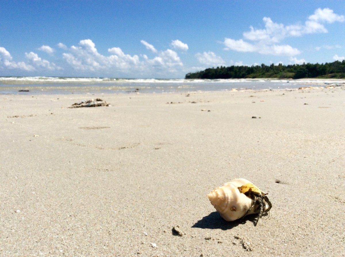 Kudat-Borneo-24