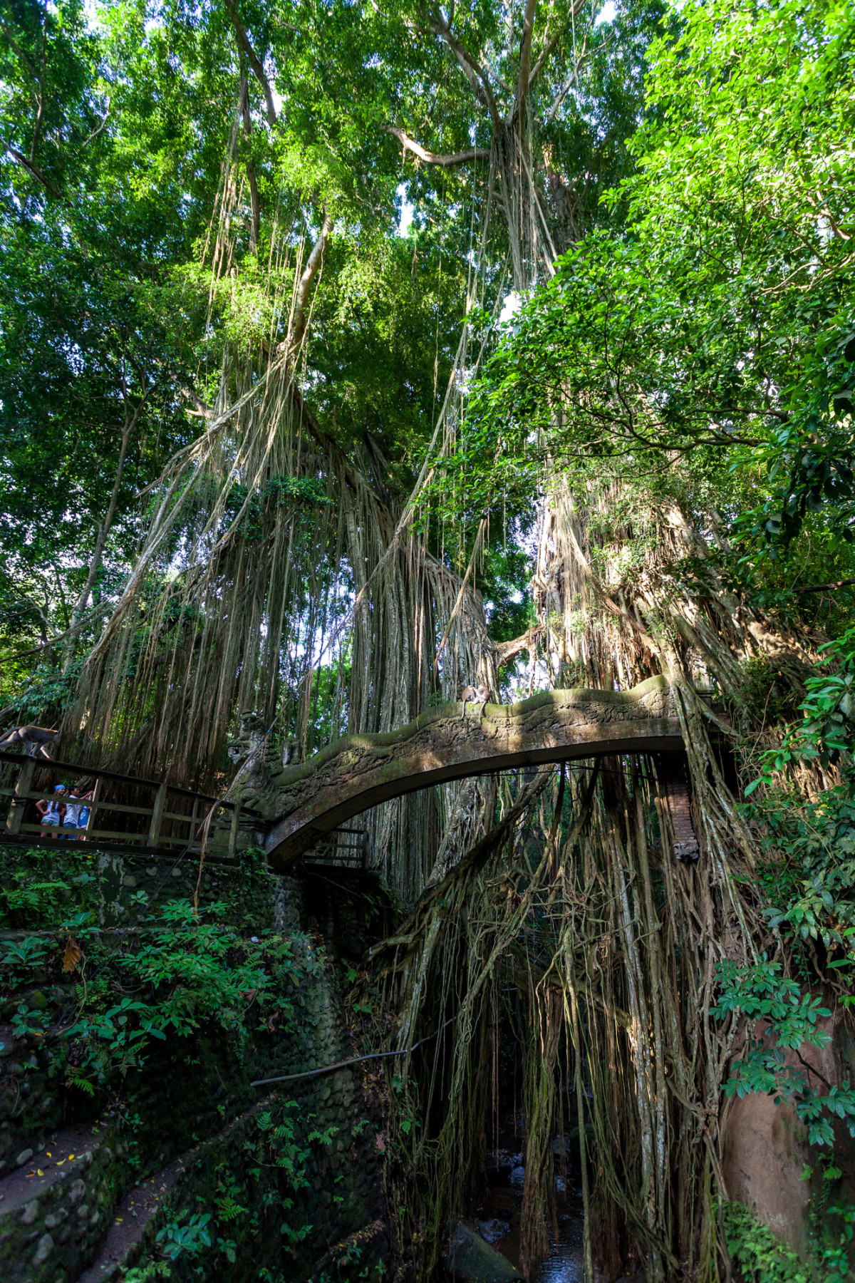 Kuta-Ubud-Bali-6