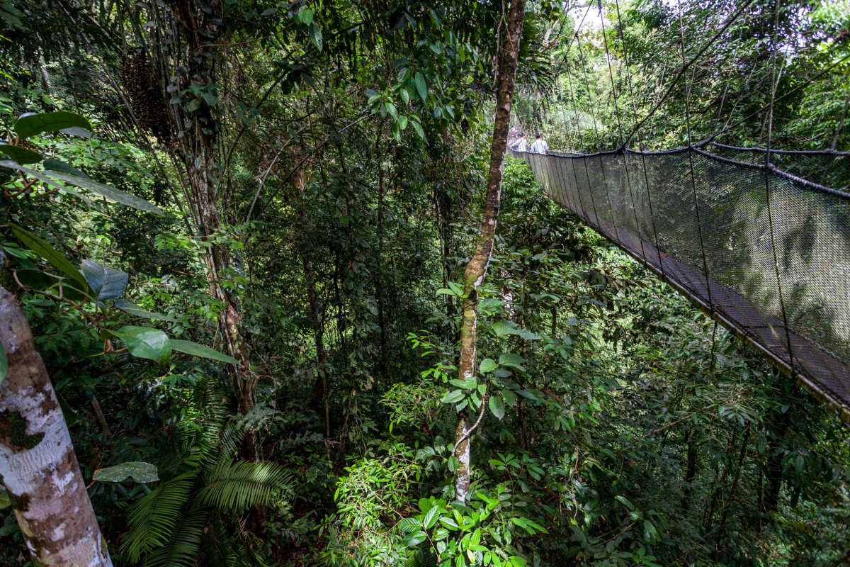 Mount-Kinabalu-Borneo-10