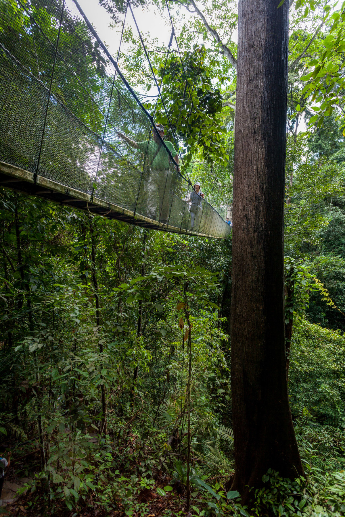 Mount-Kinabalu-Borneo-12