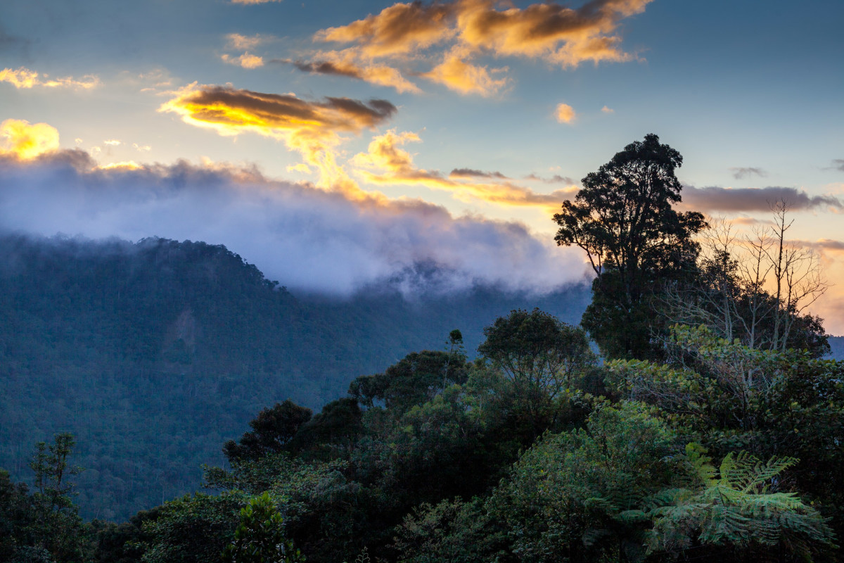 Mount-Kinabalu-Borneo-15