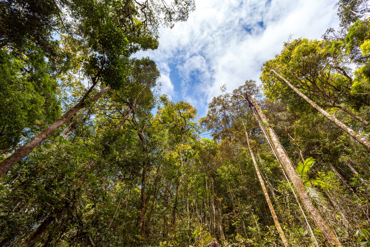 Mount-Kinabalu-Borneo-3