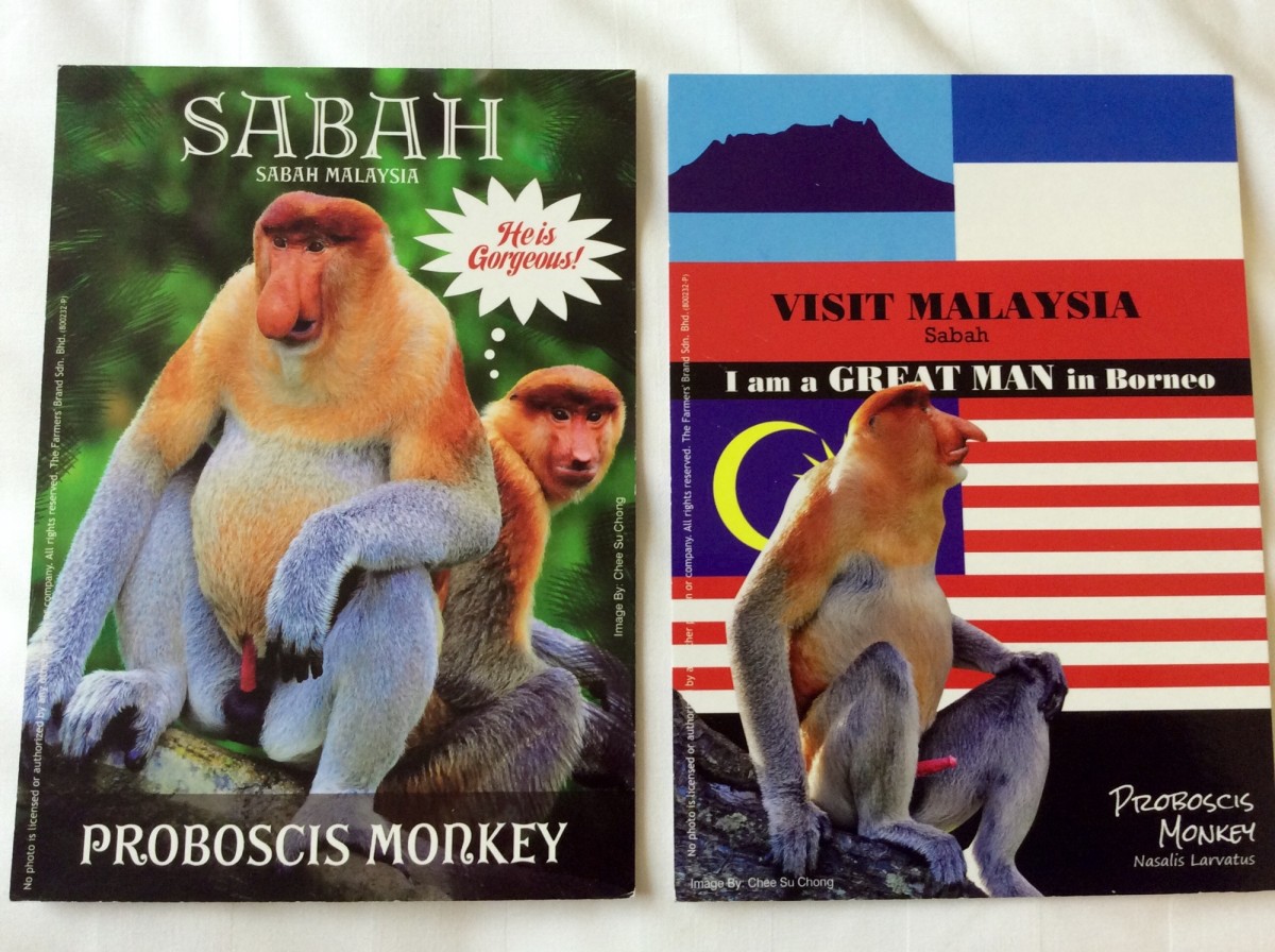 Sepilok-Orang-Utan-27