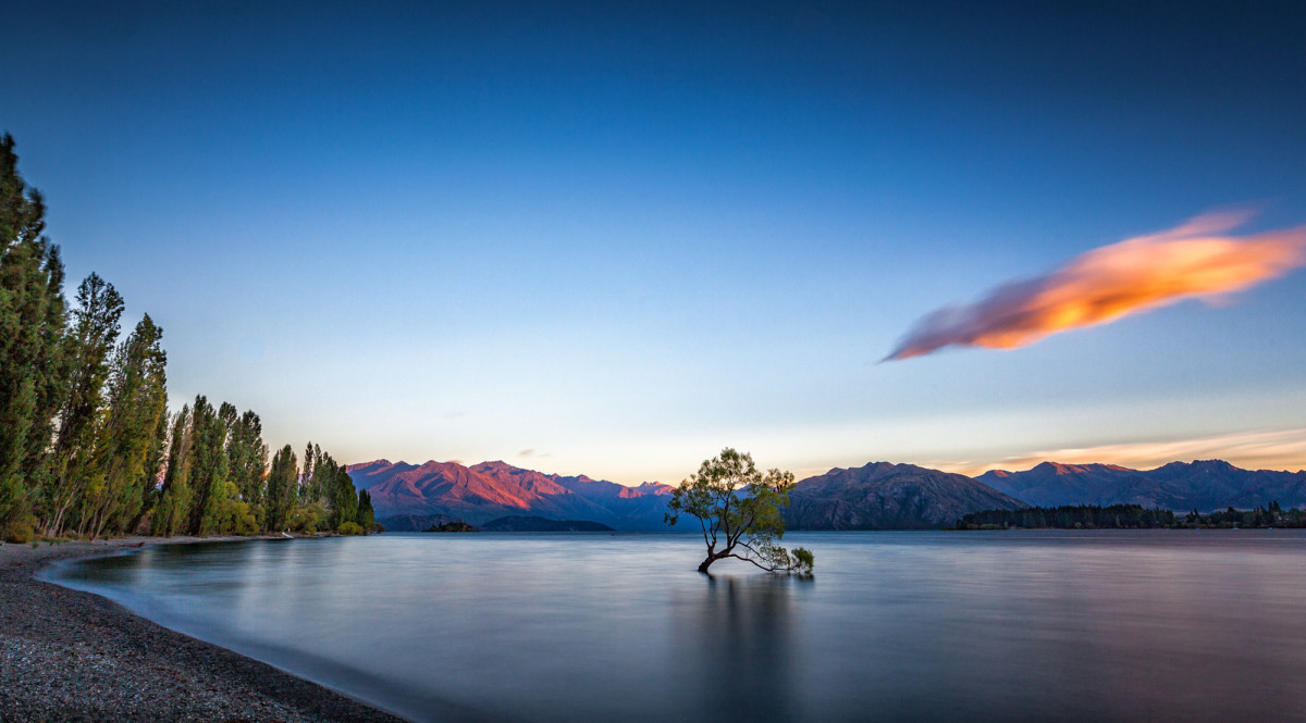 Cromwell-Wanaka-Neuseeland-3