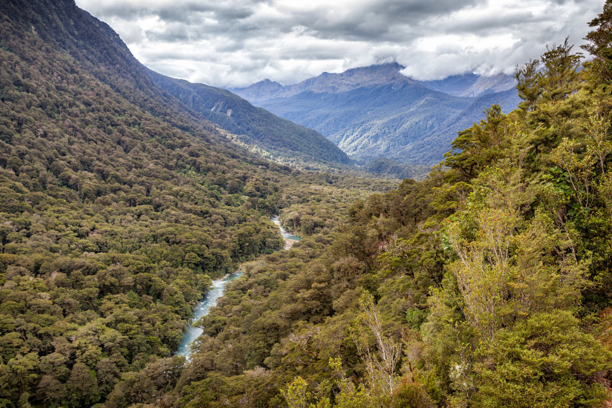 Milford-Sound-Neuseeland-27