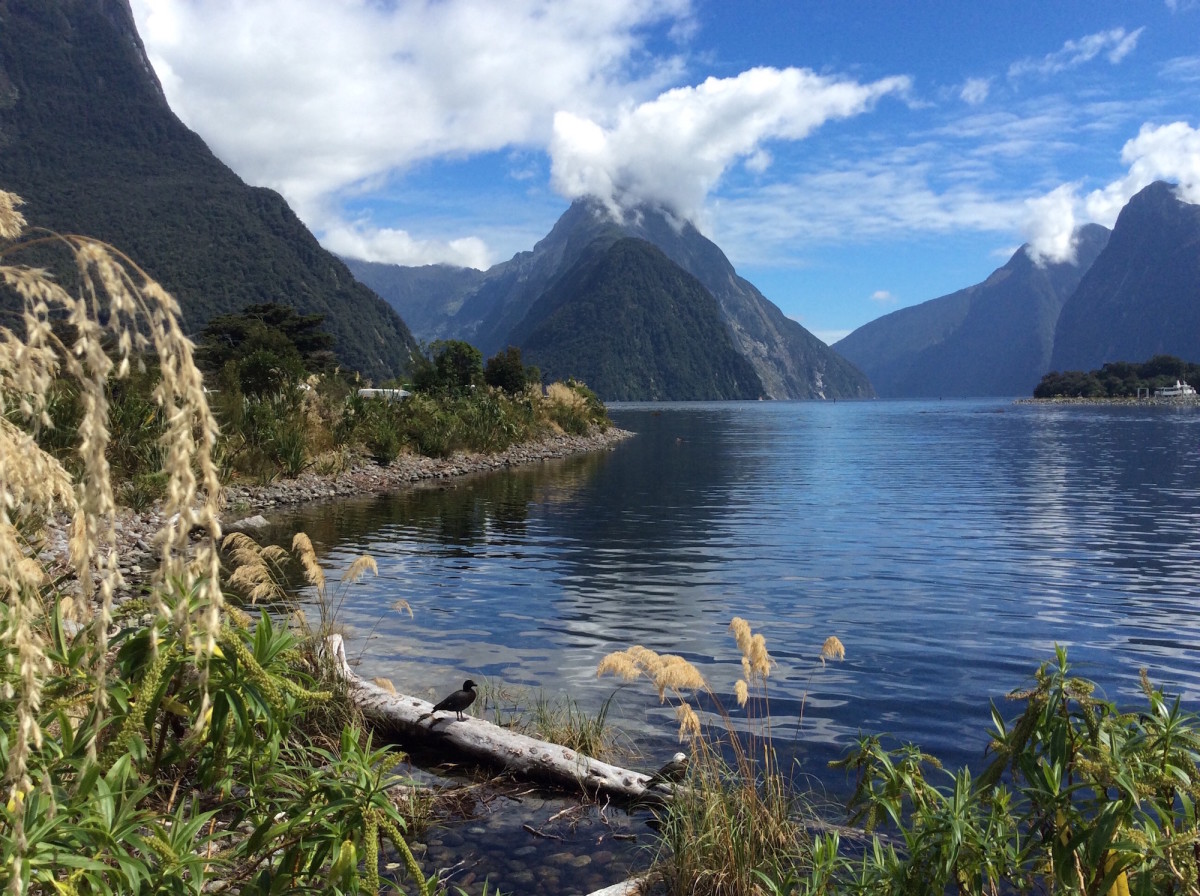 Milford-Sound-Neuseeland-35