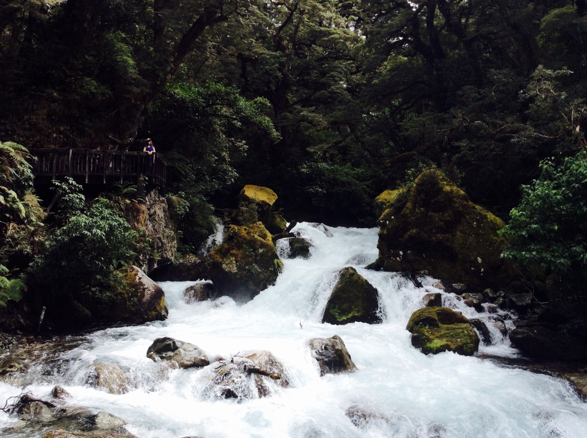 Milford-Sound-Neuseeland-36