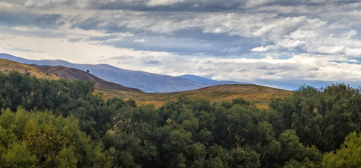 Otago-Central-Rail-Trail-Neuseeland-16