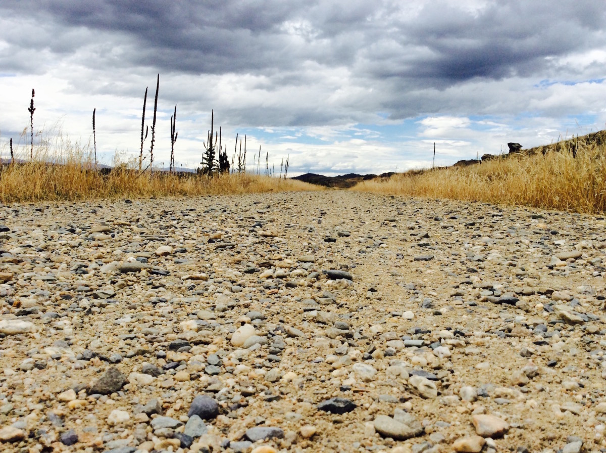 Otago-Central-Rail-Trail-Neuseeland-27