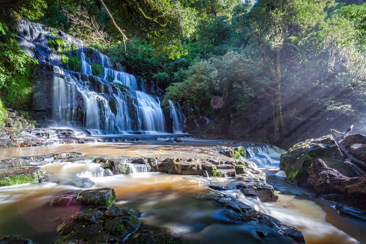 Southern-Scenic-Route-Catlins-Neuseeland-10