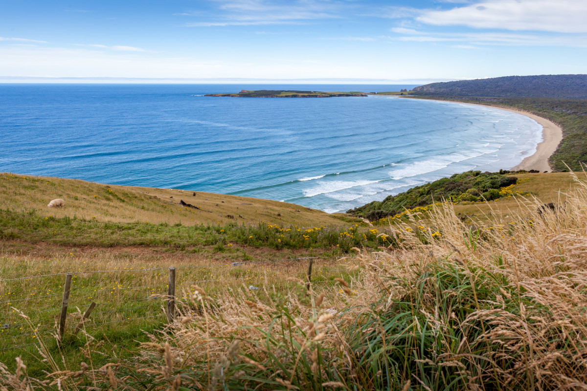 Southern-Scenic-Route-Catlins-Neuseeland-11