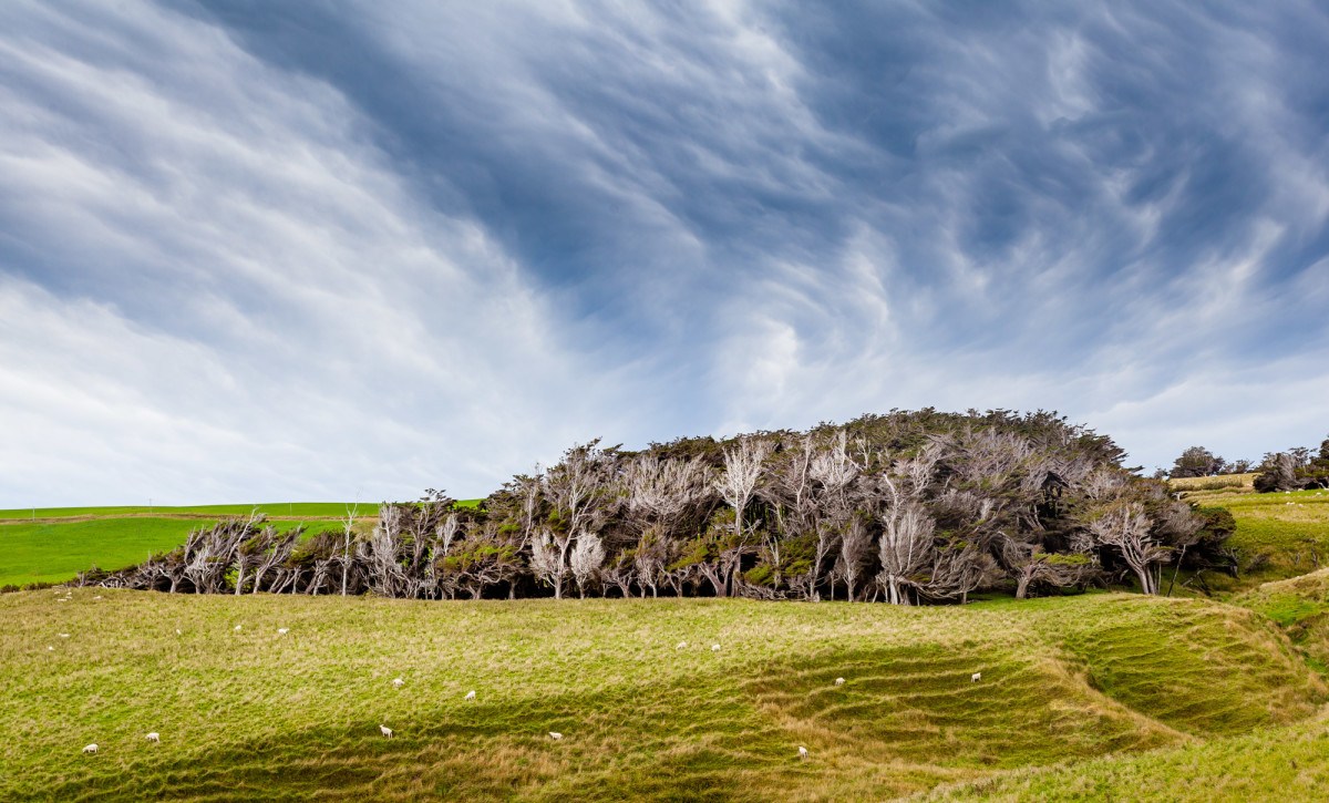 Southern-Scenic-Route-Catlins-Neuseeland-17