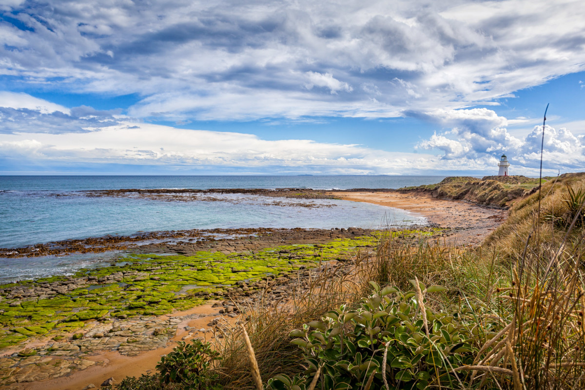 Southern-Scenic-Route-Catlins-Neuseeland-18