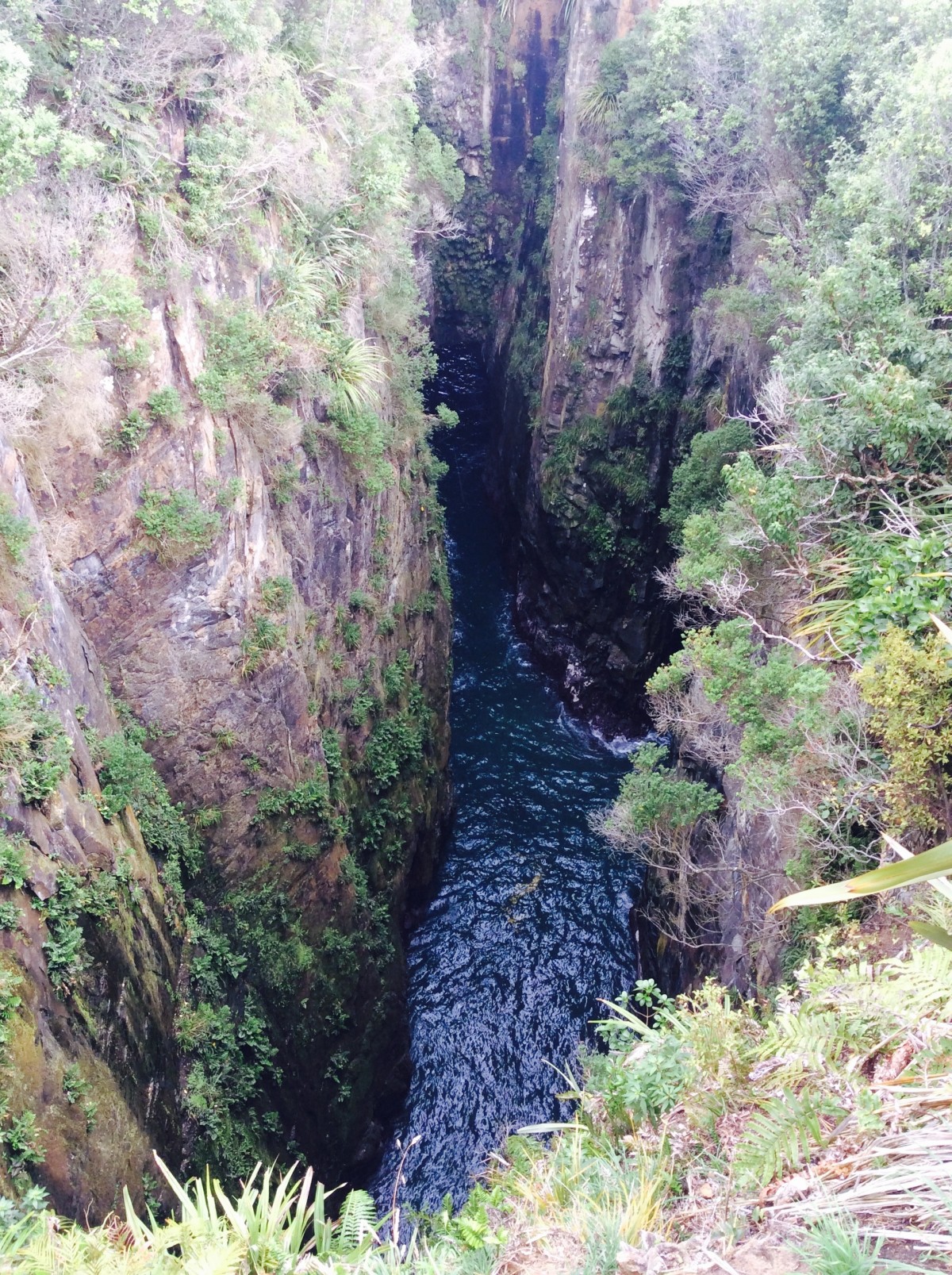 Southern-Scenic-Route-Catlins-Neuseeland-22