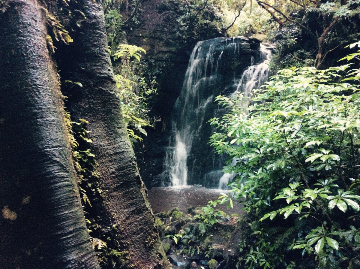 Southern-Scenic-Route-Catlins-Neuseeland-26