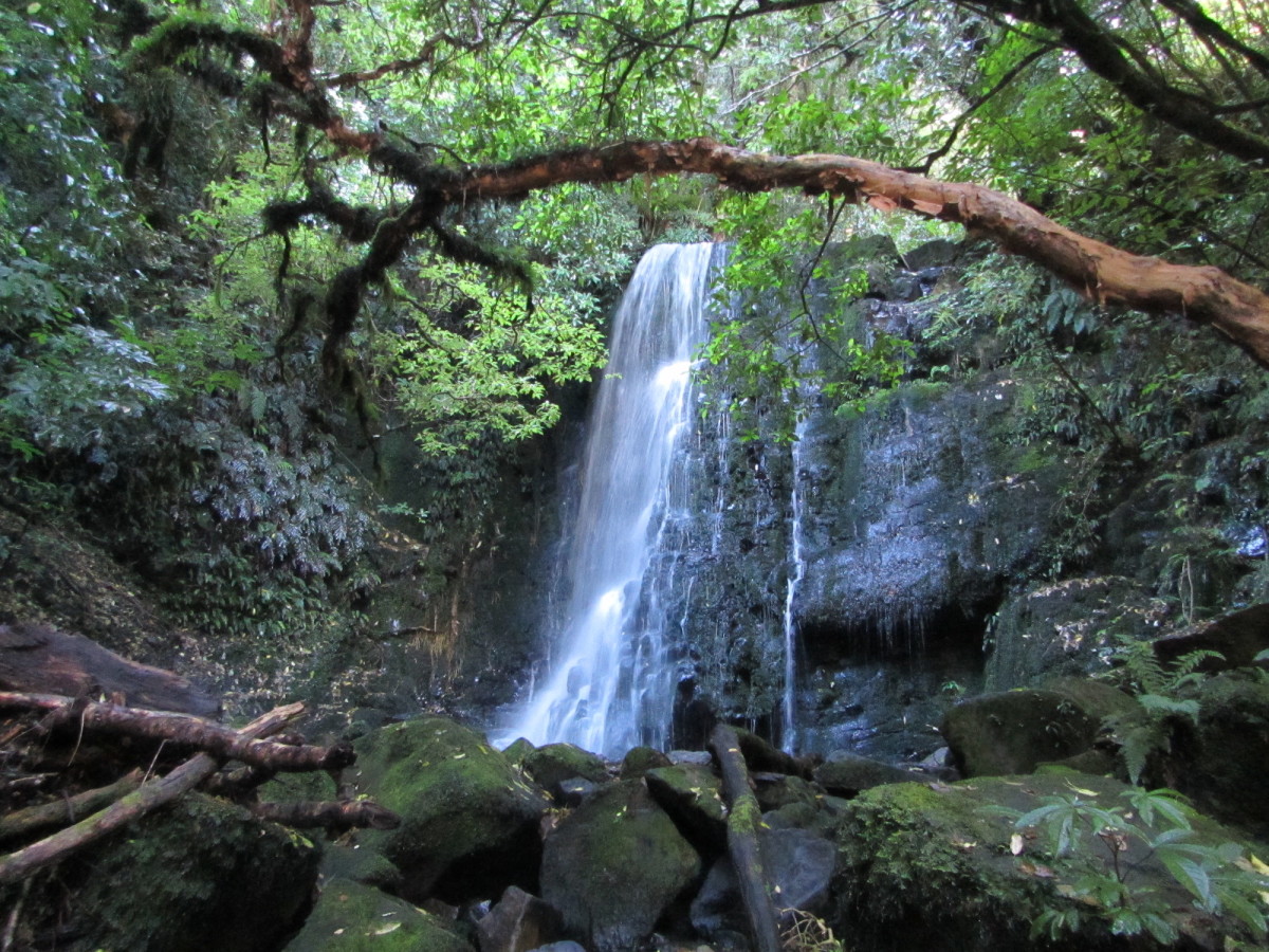 Southern-Scenic-Route-Catlins-Neuseeland-30