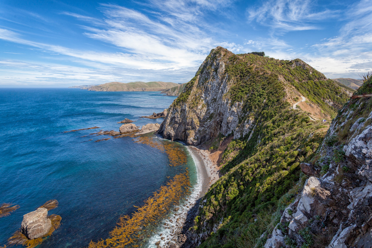 Southern-Scenic-Route-Catlins-Neuseeland-5