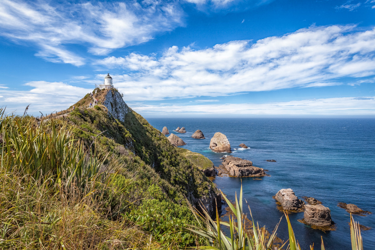 Southern-Scenic-Route-Catlins-Neuseeland-6