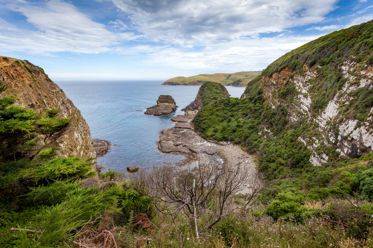 Southern-Scenic-Route-Catlins-Neuseeland-7