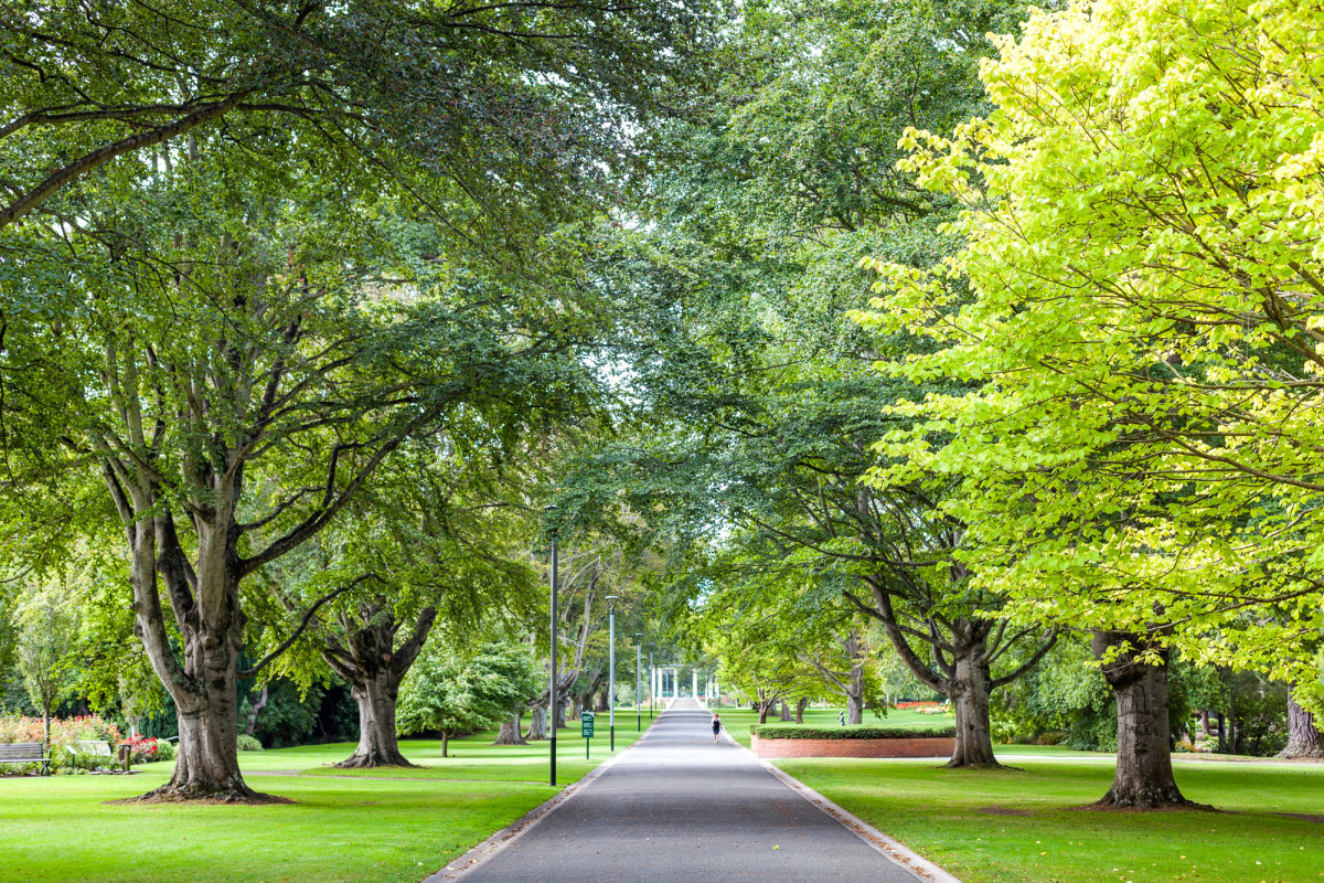 Southern-Scenic-Route-Invercargill-Neuseeland-6