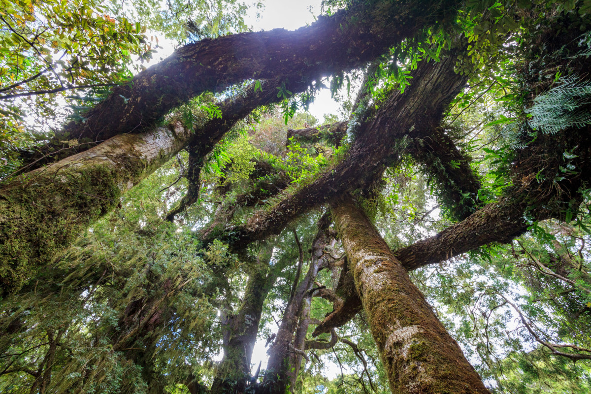 Southern-Scenic-Route-Western-Southland-Neuseeland-6