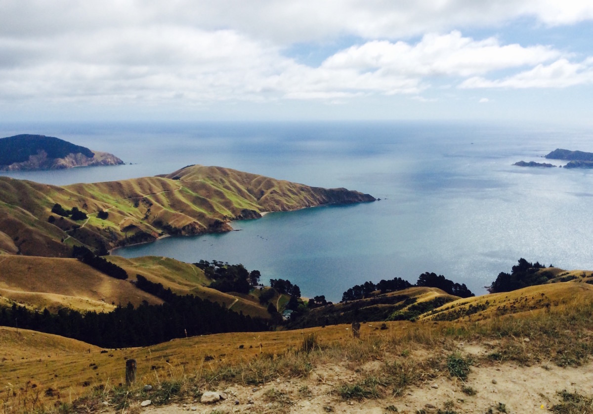 Fench-Pass-Neuseeland-12