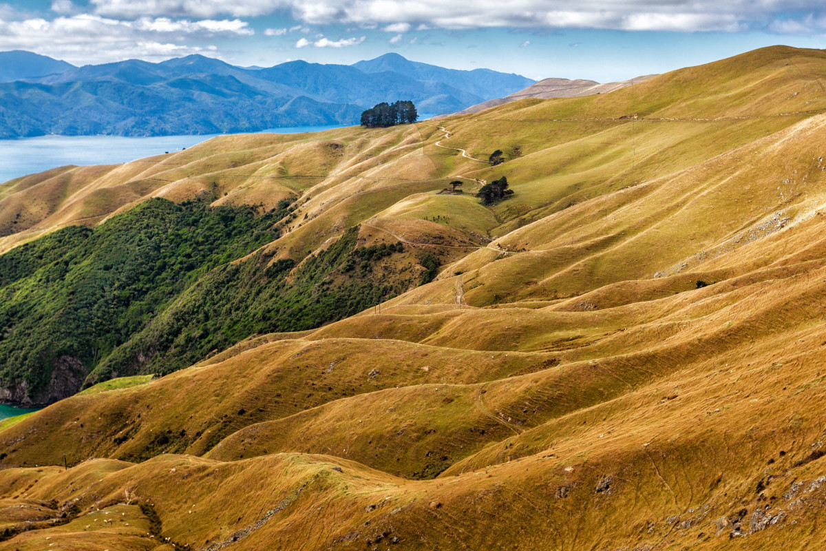 Fench-Pass-Neuseeland-3